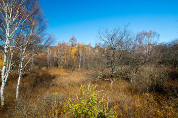 日光の美しい風景