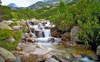 The water of a mountain river with rocks and dwarf-pine near the waterfall Skok in the High Tatras. Beautiful Slovakia. © Stanislav
