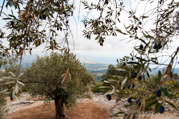 Landschaft Samos Griechenland