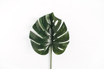 Monstera leaf isolated on white background. Minimal flat lay, top view concept.