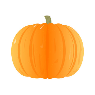 Flat Vector Pumpkin Isolated on White Background. Ripe Orange Pumpkin. Vector Illustration.