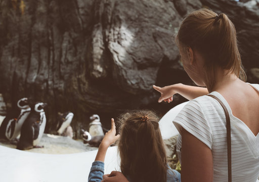Woman and her daughter looking at penguins in the zoo.