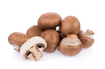 Mushroom champignon isolated on white background