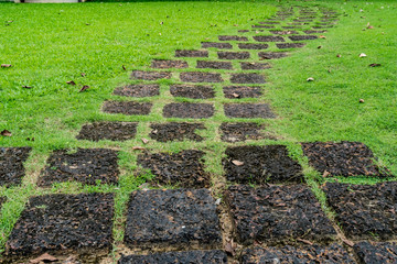 Laterite Pathway in the park