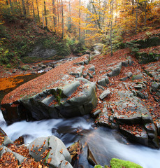 Magnificent view of the waterfall in the Autumn Beech Forest in Europe