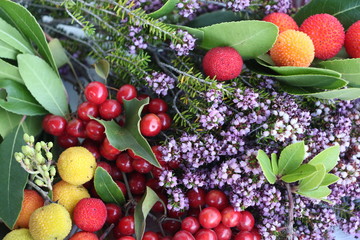 Textur von bunten Herbstkräutern