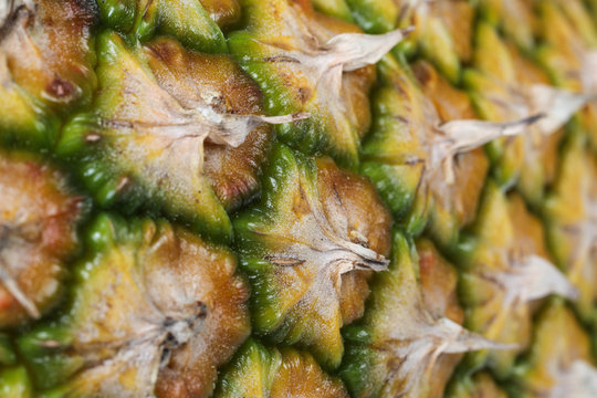 Ananas