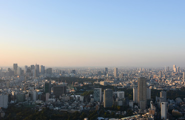 Fototapeta na wymiar 日本の東京都市風景「新宿区や豊島区方面などを望む」（画面左付近に東京都庁、画面右付近にサンシャイン６０などが見える）