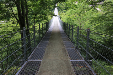 徳島県三好市　竜宮崖公園　吊橋