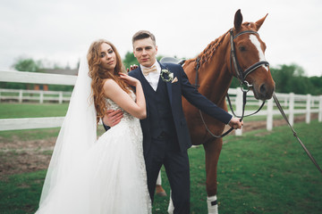 Newly married wedding couple stand with beautiful horse on nature