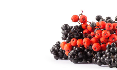 Red and black berry isolated on white
