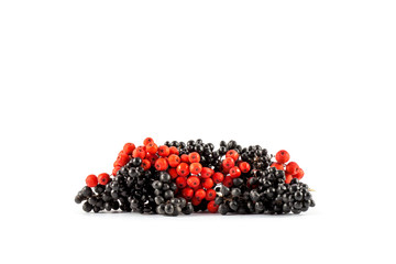 Red and black berry isolated on white