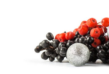 Red and black berry isolated on white