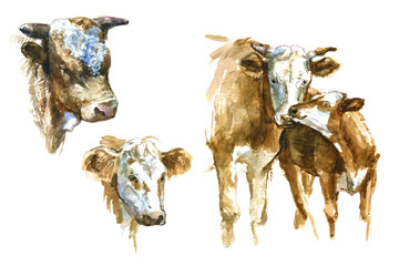 Set of watercolor cow