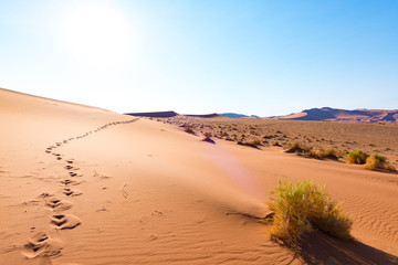 Fototapeta na wymiar Footprints on Sossusvlei Sand Dunes, Namib Naukluft National Park, Namib desert, scenic travel destination in Namibia, Africa.