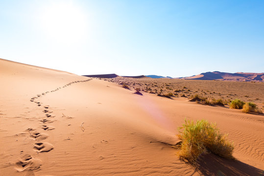 Footprints on Sossusvlei Sand Dunes, Namib Naukluft National Park, Namib desert, scenic travel destination in Namibia, Africa.