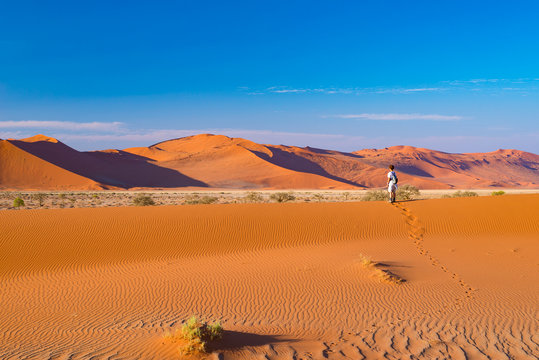 Tourist walking on the sand dunes at Sossusvlei, Namib desert, Namib Naukluft National Park, Namibia. Traveling people, adventure and vacations in Africa.