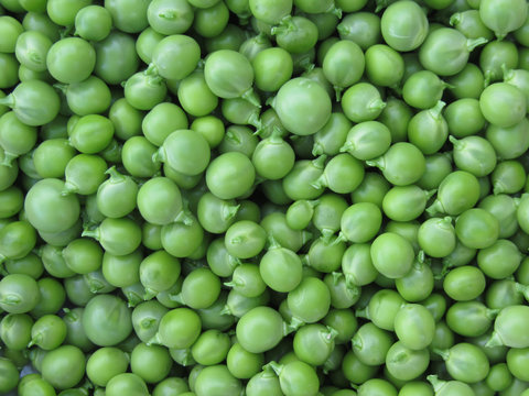Green pea background . Texture of ripe green peas