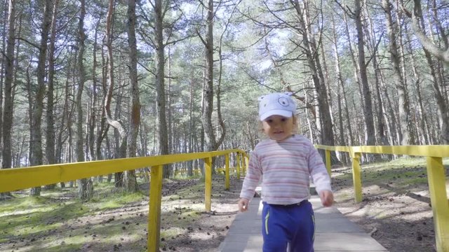 Little 2 year old baby boy is walking on forest. Child make his first steps outdoor. Baby boy with is making his first steps in summer day in park outdoors.