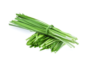 Garlic chives on white background