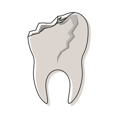 tooth with root and broken in watercolor silhouette