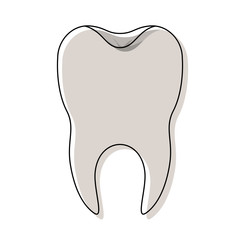 healthy tooth with root in watercolor silhouette