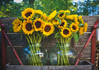 Colorful sunflowers in vases in a rustic wedding setting.