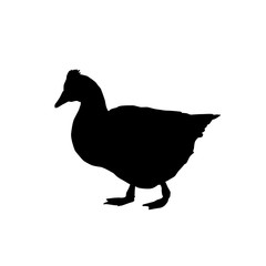 goose vector silhouette