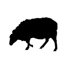 sheep vector silhouette