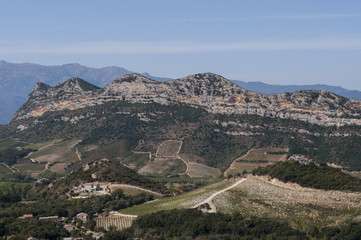 Fototapeta na wymiar Corsica, 28/08/2017: vista panoramica del paesaggio selvaggio dell'Alta Corsica con le montagne circondate da colline verdi, vigneti e campi di grano