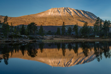 Morning calm