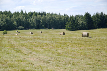 Stogi siana © KrólestwoNauki