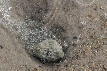 Bubbles and water patters in the surf of Top Sail Island, North Carolina.