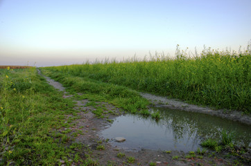 Krajobraz wiejski © KrólestwoNauki