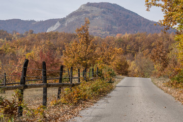 Obraz premium Beautiful Autumn nature colors of mountain forest