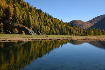 paesaggio autunnale montagna lago montagne colori alberi foglie vallata Alpi maso baita 
