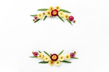 frame yellow flowers, branches, leaves and petals isolated on white background. flat lay, overhead view