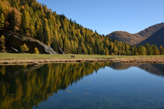paesaggio autunnale montagna lago montagne colori alberi foglie vallata Alpi maso baita 