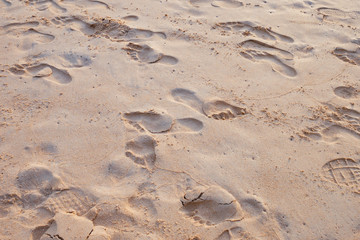 footprint and shoe print on sand at the beach