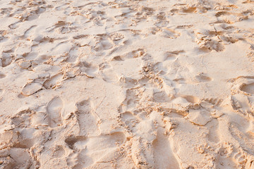 footprint and shoe print on sand at the beach