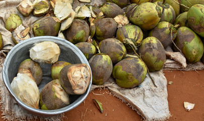 Pile of coconuts for a sale. African street market.
