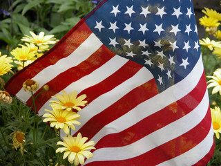 US FLAG - YELLOW DAISIES