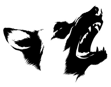 black and white linear paint draw dog illustration