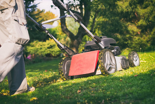 Mowing The Grass With A Lawn Mower In Early Autumn, Mulching The Lawn With A Mower 