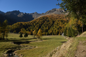 Fototapeta na wymiar alberi autunno paesaggio montagna baita maso Alpi Trentino Italia colori d'autunno 