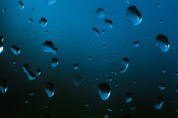 raindrops on the window glass