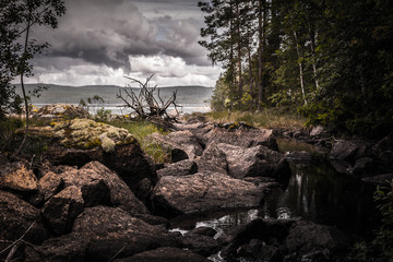 Mysterious and creepy landscape - forest creek running among rocks; overcast sky and big lake in...