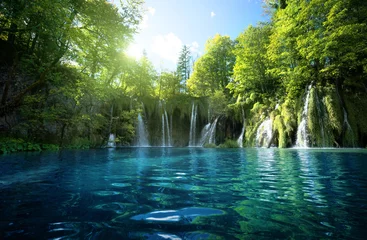  waterval in bos, Plitvicemeren, Kroatië © Iakov Kalinin