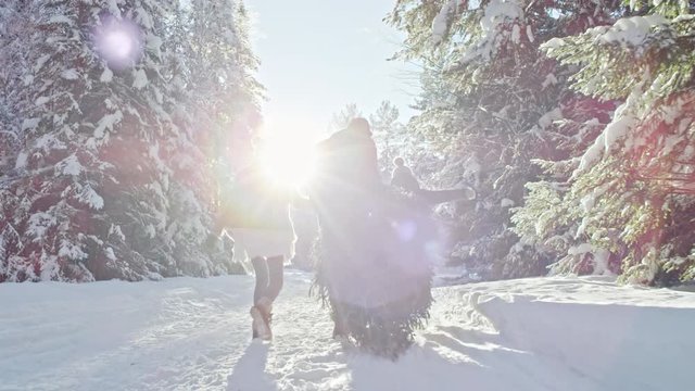 Tracking shot with rear view of excited family in warm clothes carrying cut Christmas tree and running along snowy path in forest on sunny winter day