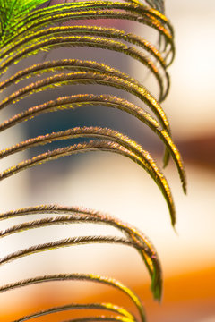 Fantasies of colors in a multitude of tones and compositions Various intertwined and diverse sets